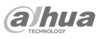 dahua